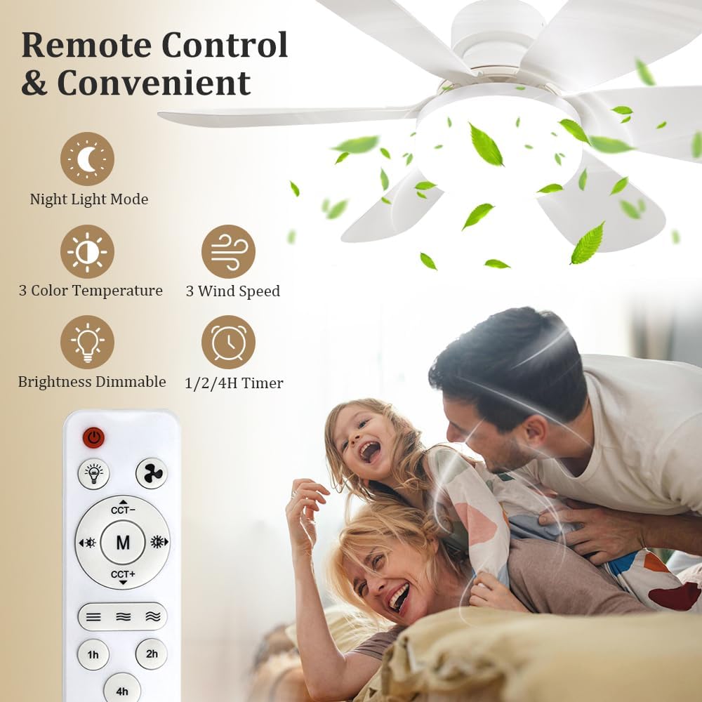 Socket Fan Light with Remote,  - Home Lighting And Decor review and price